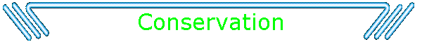 Conservation