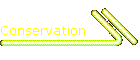 Conservation